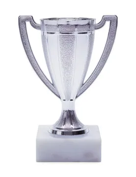 平台信息与指南